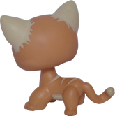#0525/790 Shorthair Cat